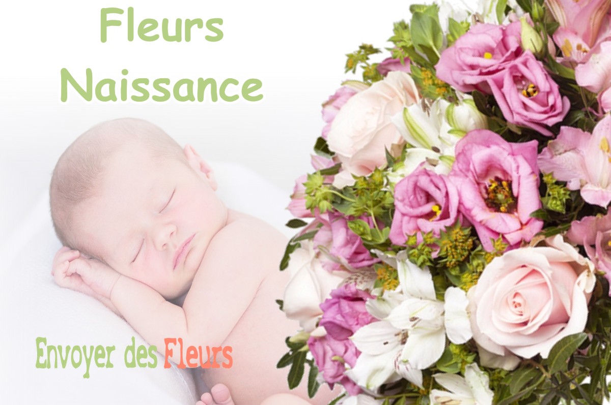 lIVRAISON FLEURS NAISSANCE à CONLIEGE